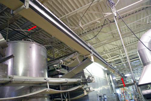 Stainless Steel Belt Conveyor Not Specified 