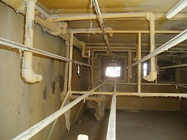 Stainless Steel Case Washer