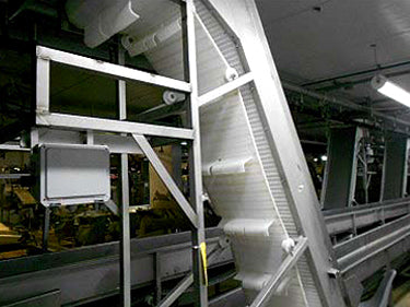 Stainless Steel Incline Conveyor - 18 in. wide Not Specified 