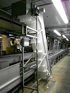 Stainless Steel Incline Conveyor - 18 in. wide Not Specified 