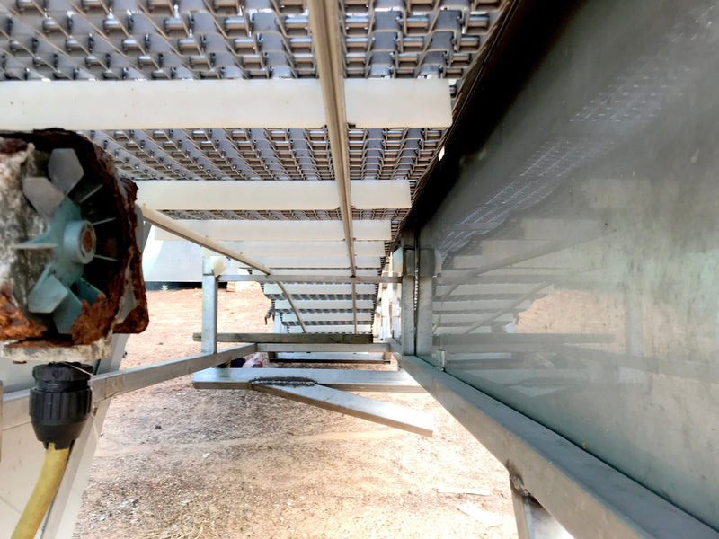 Stainless Steel Incline Conveyor - 18 in. wide Not Specified 