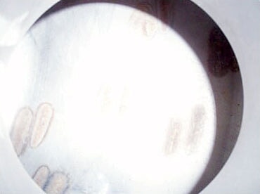 Stainless Steel Pellet Melter Not Specified 