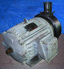 Stainless Steel Sanitary Centrifugal Pump Not Specified 
