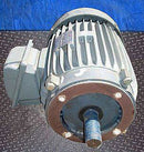 Teco Max EI Premium Efficiency Severe Duty Motor- 5 HP Teco Max 