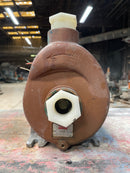 Teel 1P996 Centrifugal Pool Pump (0.5 HP, 48 GPM Max) Teel 