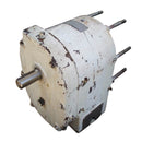 Tri-Clover Positive Displacement Pump Body Tri Clover 