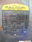 Tri-Clover Positive Displacement Pump Tri Clover 