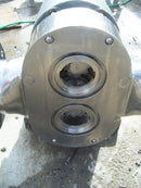 Tri-Clover Positive Displacement Pump Tri Clover 