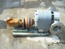 Tri-Clover Positive Displacement Pump Tri Clover 