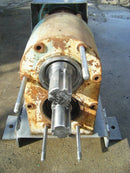 Tri-Clover Positive Displacement Pump Tri Clover 