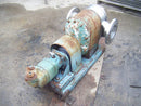 Tri-Clover Positive Displacement Pump Tri Clover 