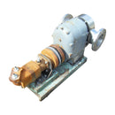 Tri-Clover Positive Displacement Pump Tri Clover 