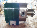 Tri-Clover Positive Displacement Pump Tri Clover 