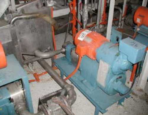 Tri Clover Positive Rotary Pump Stainless Steel Tri Clover 