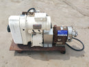 Tri Clover PR25 Positive Displacement Pump Tri Clover 