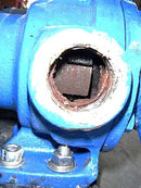 Viking Internal Gear Pump Viking 
