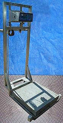 Weigh Tronix Electronic Platform Scale Weigh-Tronix 